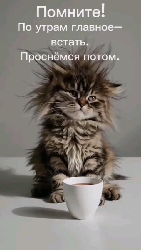 Помните! По утрам главное— встать. Проснёмся потом.