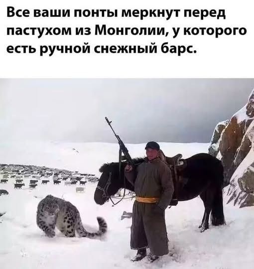 Все ваши понты меркнут перед пастухом из Монголии, у которого есть ручной снежный барс.