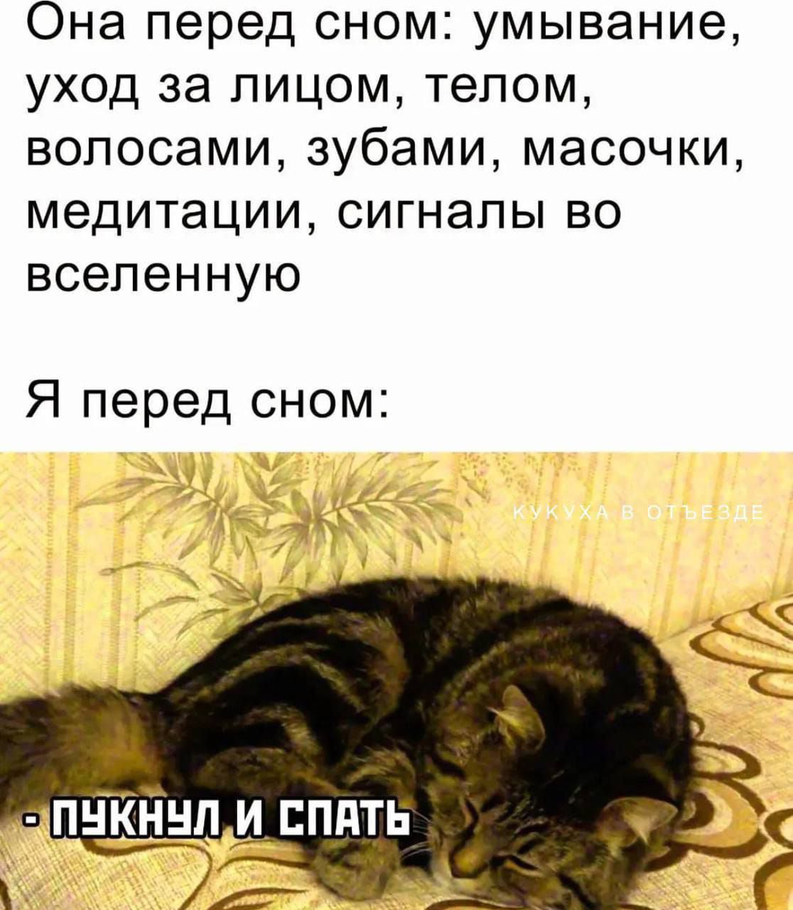 Она перед сном: умывание, уход за лицом, телом, волосами, зубами, масочки, медитации, сигналы во вселенную. Я перед сном: - ПУКНУЛ И СПАТЬ. КУКУХА В ОТЪЕЗДЕ