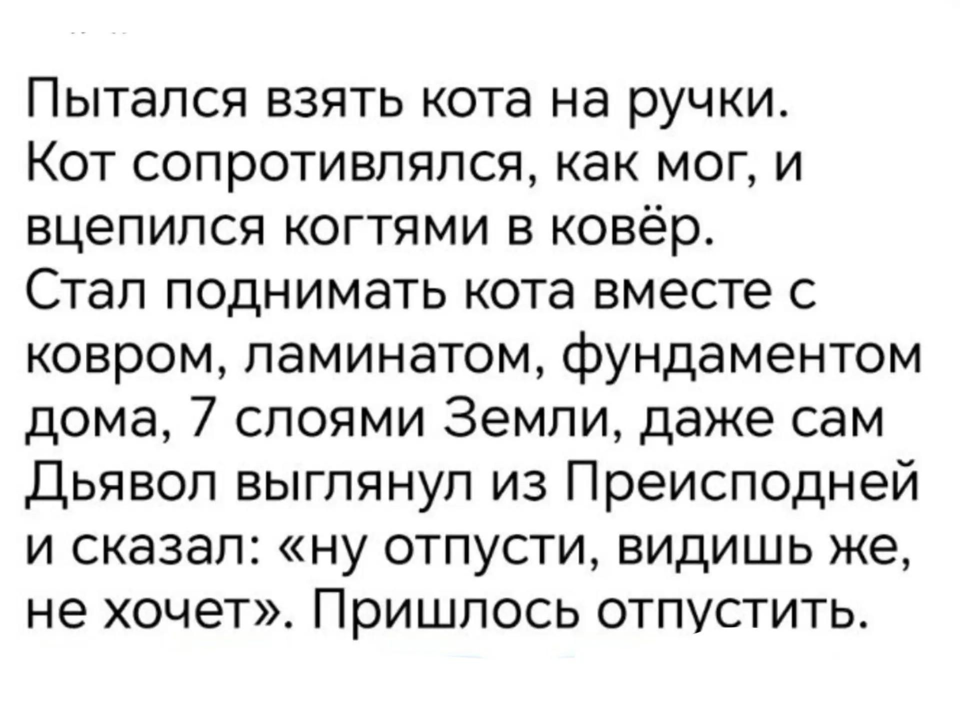 Пытался взять кота на ручки. Кот сопротивлялся, как мог, и вцепился когтями в ковёр. Стал поднимать кота вместе с ковром, ламинатом, фундаментом дома, 7 слоями Земли, даже сам Дьявол выглянул из Преисподней и сказал: «ну отпусти, видишь же, не хочет». Пришлось отпустить.