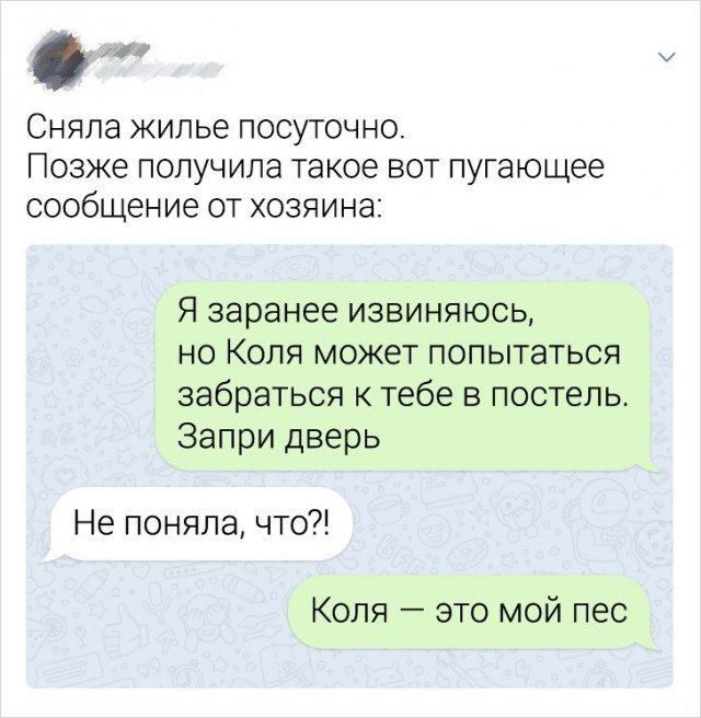 Сняла жилье посуточно. Позже получила такое вот пугающее сообщение от хозяина: Я заранее извиняюсь, но Коля может попытаться забраться к тебе в постель. Запри дверь. Не поняла, что?! Коля — это мой пес
