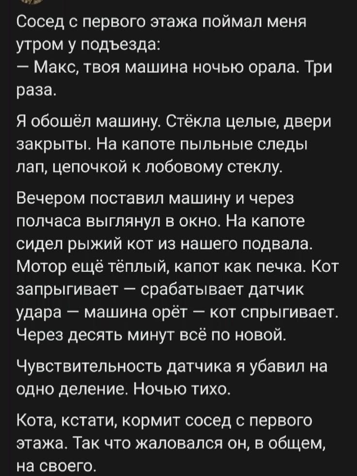 Сосед с первого этажа поймал меня утром у подъезда: — Макс, твоя машина ночью орала. Три раза. Я обошёл машину. Стёкла целые, двери закрыты. На капоте пыльные следы лап, цепочкой к лобовому стеклу. Вечером поставил машину и через полчаса выглянул в окно. На капоте сидел рыжий кот из нашего подвала. Мотор ещё тёплый, капот как печка. Кот запрыгивает