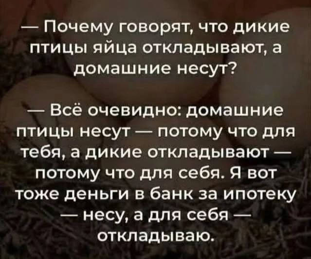 — Почему говорят, что дикие птицы яйца откладывают, а домашние несут?
— Всё очевидно: домашние птицы несут — потому что для тебя, а дикие откладывают — потому что для себя. Я вот тоже деньги в банк за ипотеку — несу, а для себя — откладываю.