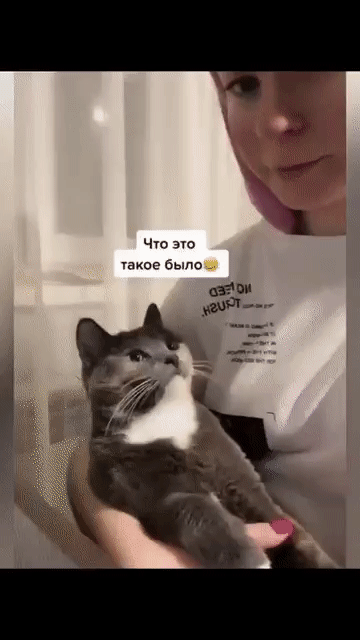 Что это такое было