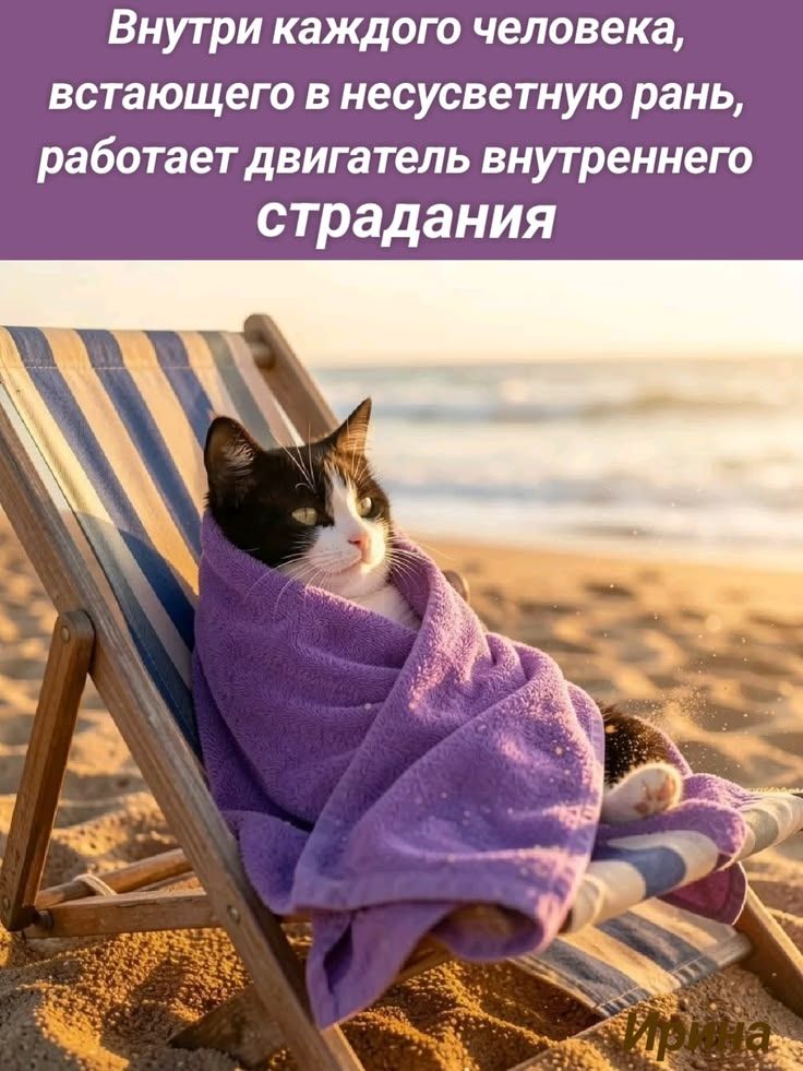 Внутри каждого человека, встающего в несусветную рань, работает двигатель внутреннего страдания