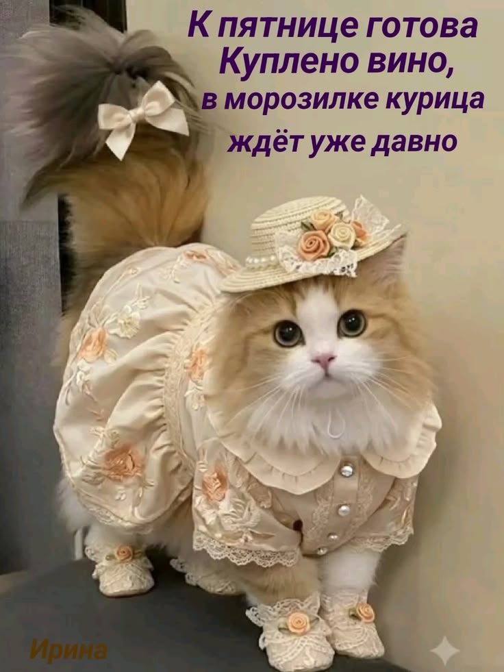 К пятнице готова Куплено вино, в морозилке курица ждёт уже давно Ирина