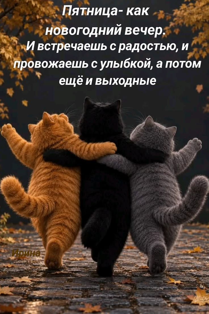 Пятница - как новогодний вечер. И встречаешь с радостью, и провожаешь с улыбкой, а потом ещё и выходные. Ирина