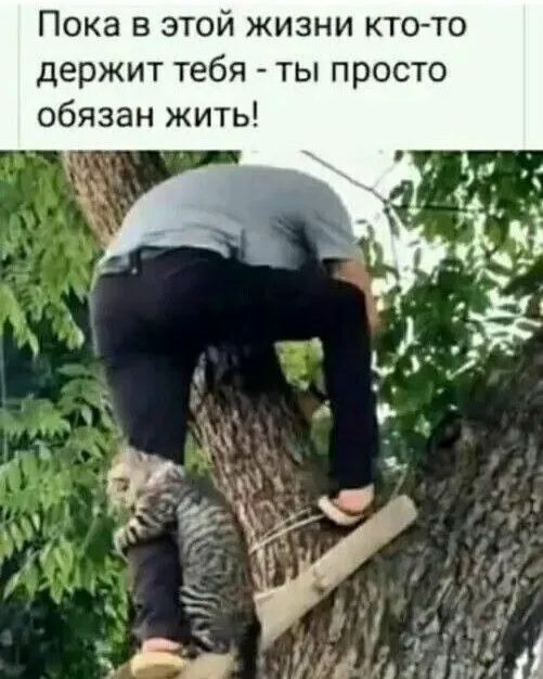 Пока в этой жизни кто-то держит тебя - ты просто обязан жить!