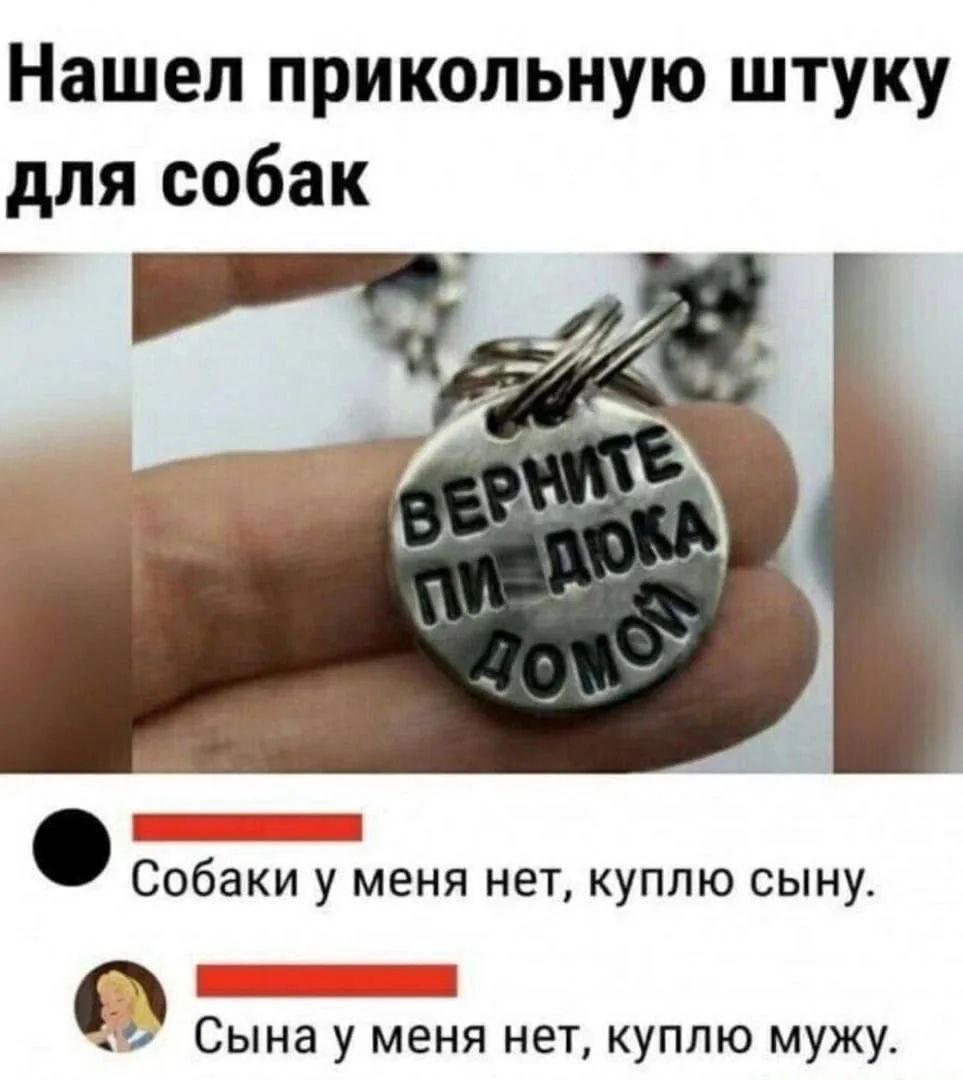 Нашел прикольную штуку для собак. ВЕРНИТЕ ПИ ДЮКА ДОМОЙ. Собаки у меня нет, куплю сыну. Сына у меня нет, куплю мужу.