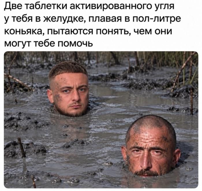 Две таблетки активированного угля у тебя в желудке, плавая в пол-литре коньяка, пытаются понять, чем они могут тебе помочь