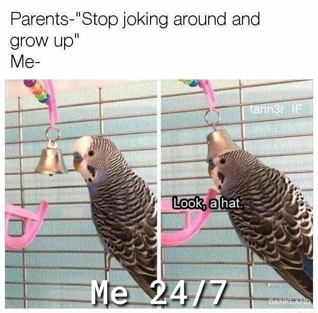 Parents Stop joking around and grow up