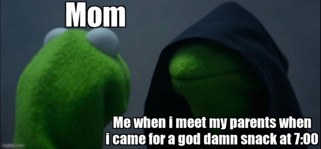 Me when I meet my parents when i came for a god damn snack at 700