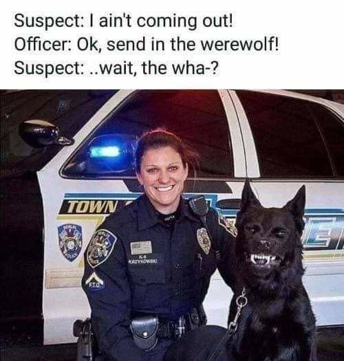 Suspect aint coming out Officer Ok send in the werewolf Suspect wait the wha