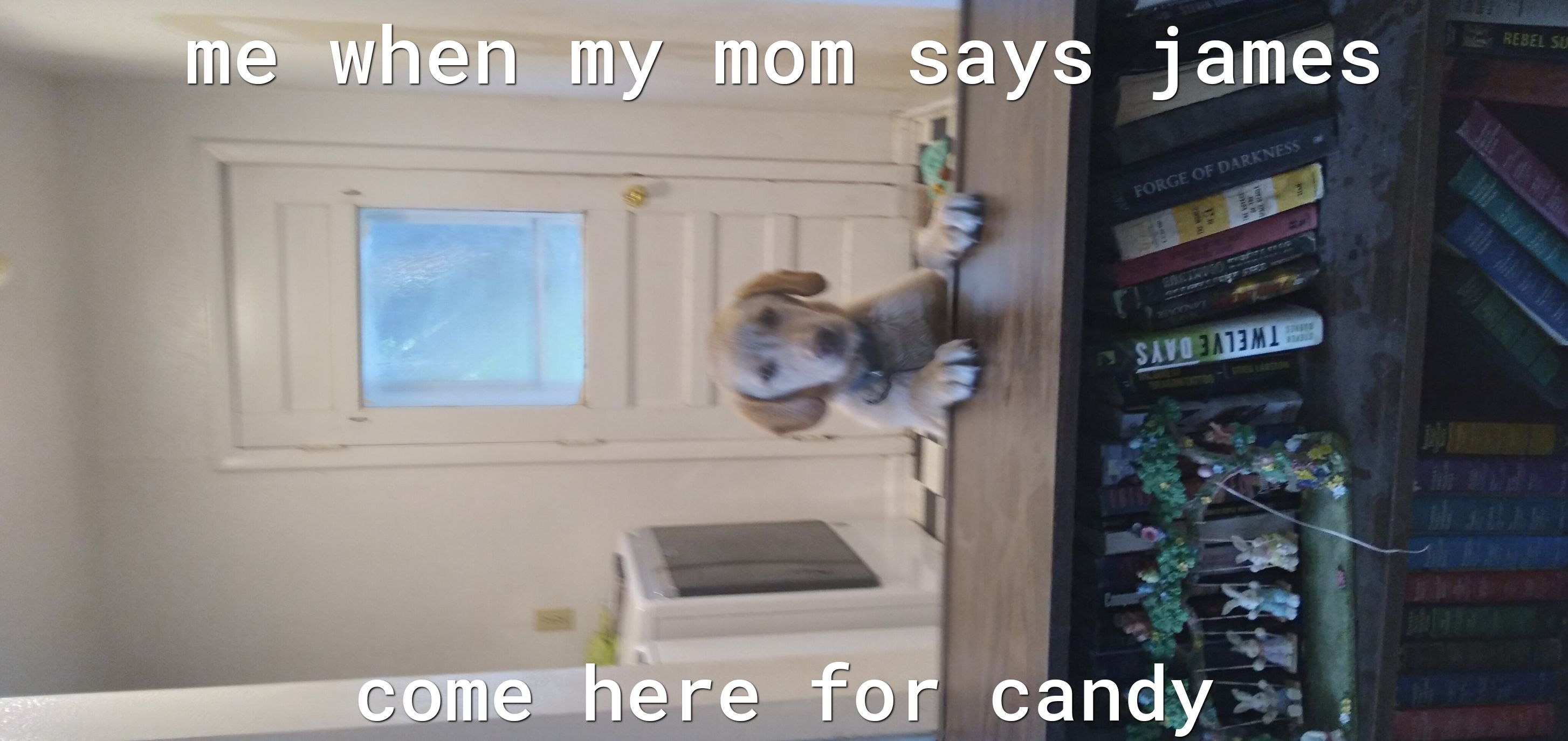 mewhen my mom coln