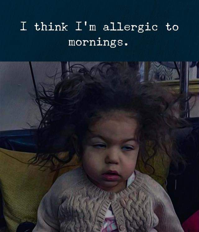 I think Im allergic to mornings A Ml f jl