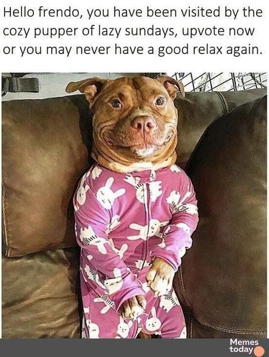 Hello frendo you have been visited by the cozy pupper of lazy sundays upvote now or you may never have a good relax again