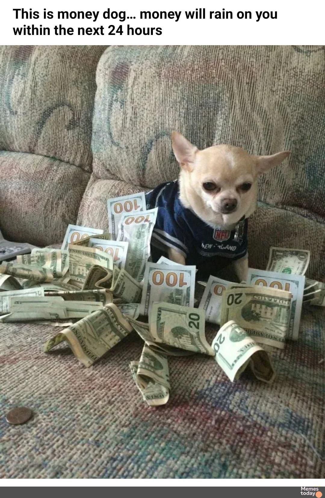 This is money dog money will rain on you within the next 24 hours LT 7 emes RCEE Y