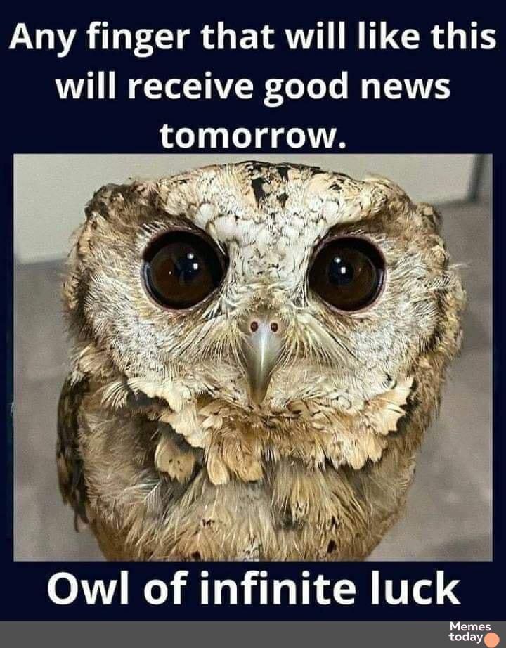 LV ATLCIR G EYRNT R CR T will receive good news tomorrow Memes today