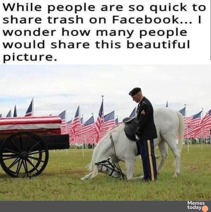 While people are so quick to share trash on Facebook wonder how many people would share this beautiful picture