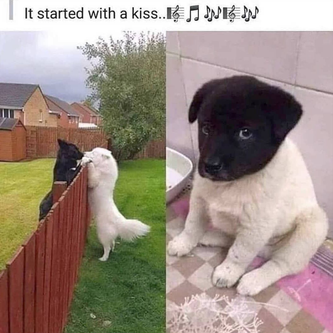 It started with a kissF J IEEYS