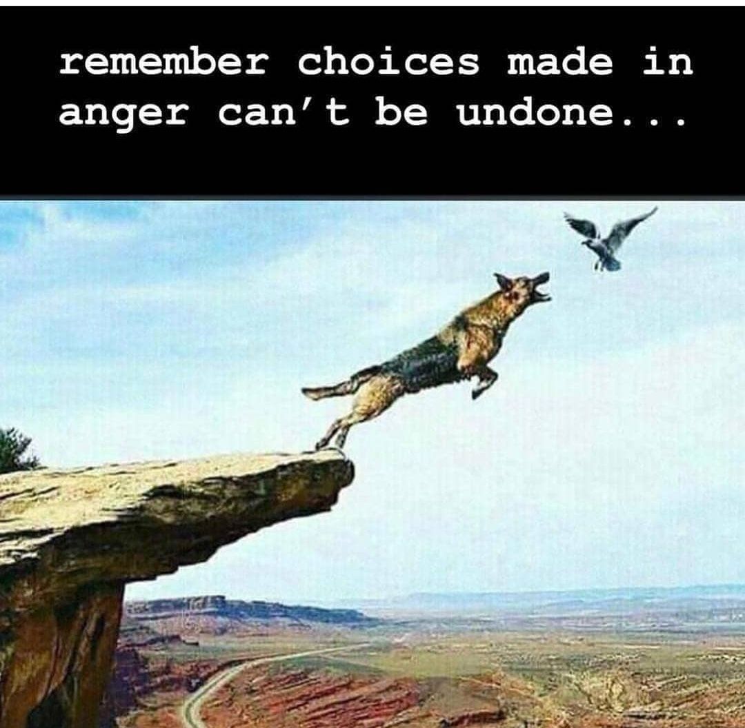 remember choices made in anger cant be undone
