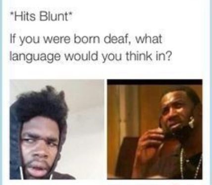 Hits Blunt If you were born deaf what language would you think in