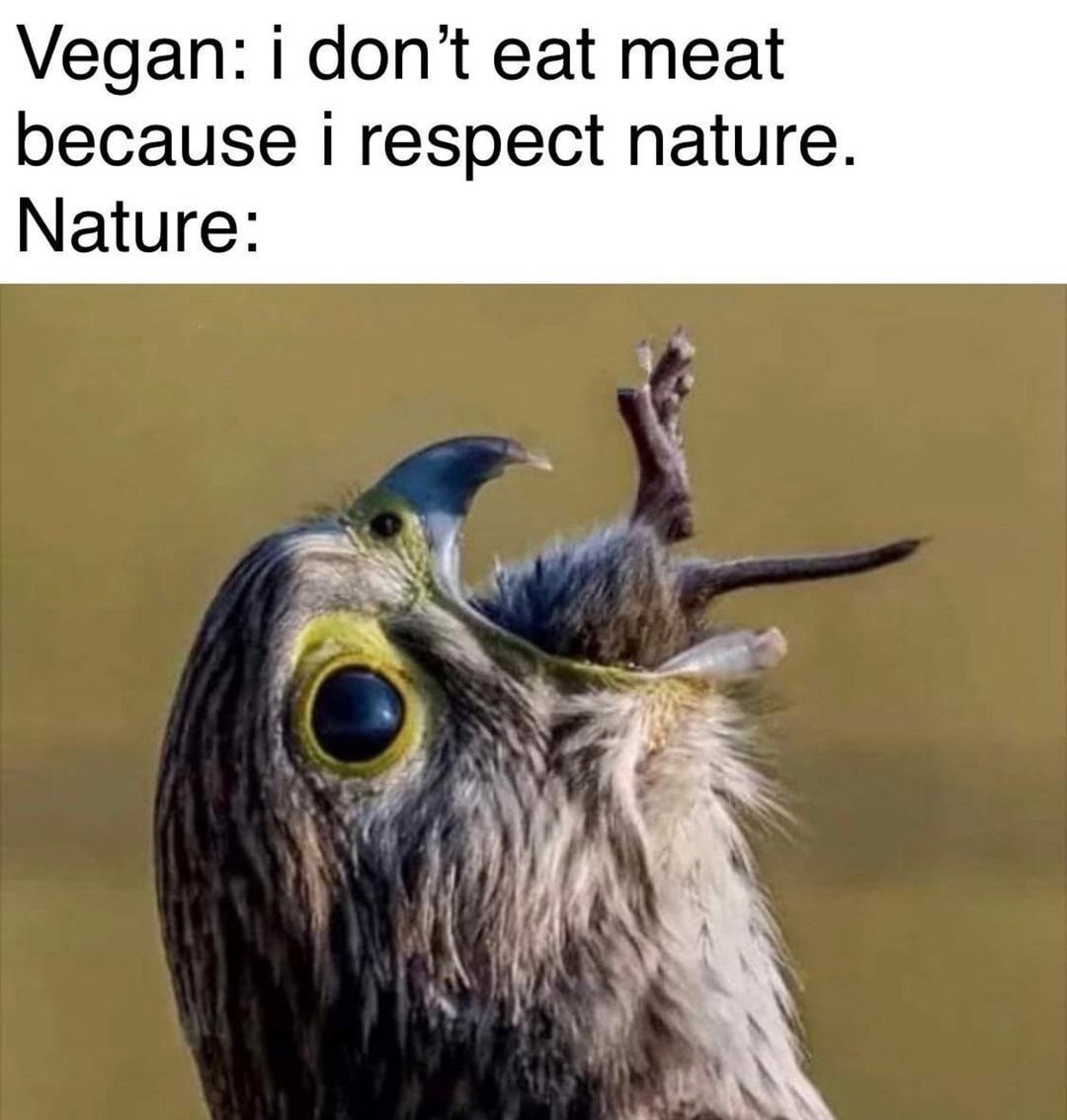 Vegan i dont eat meat because i respect nature Nature