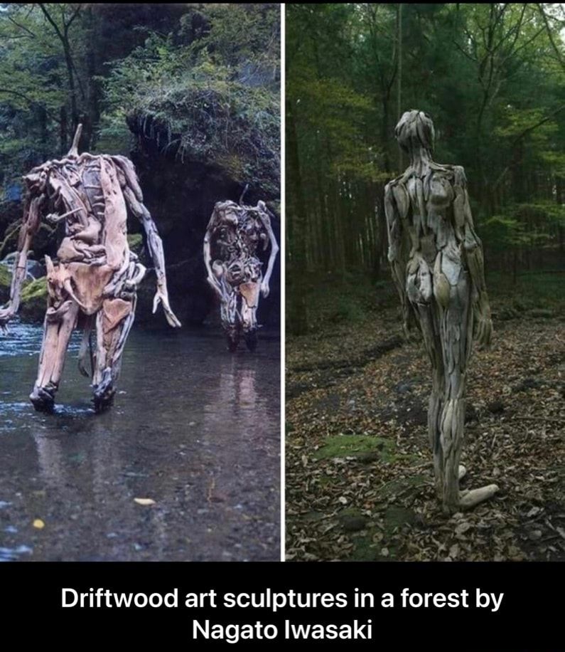Driftwood art sculptures in a forest by ETeEI RN