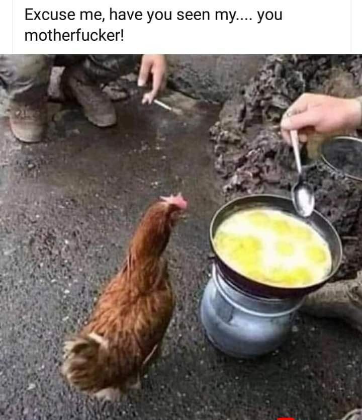 Excuse me have you seen my you motherfucker