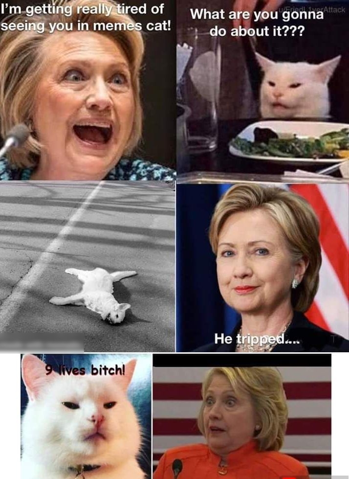4 ired of What are iou gonna memes cat g5 ghout it
