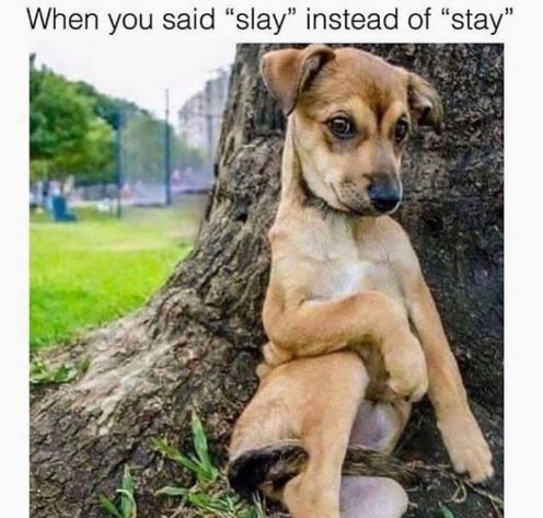 When you said slay instead of stay