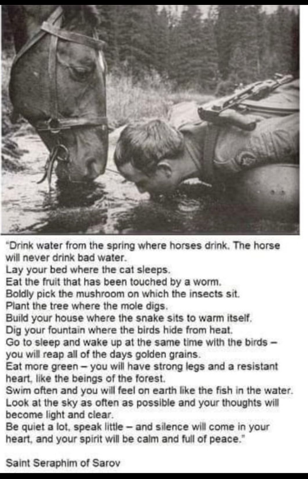 Drink water from the spring where horses drink The horse will never drink bad water Lay your bed where the cat sleeps Eat the fruit that has been touched by a worm Boldly pick the mushroom on which the insects sit Plant the tree where the mole digs Build your house where the snake sits to warm itself Dig your fountain where the birds hide from heat Go o sleep and wake up at the same time with the 