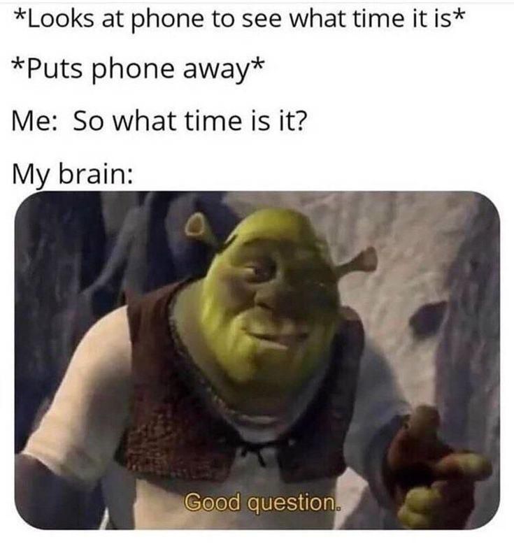 Looks at phone to see what time it is Puts phone away Me So what time is it My brain