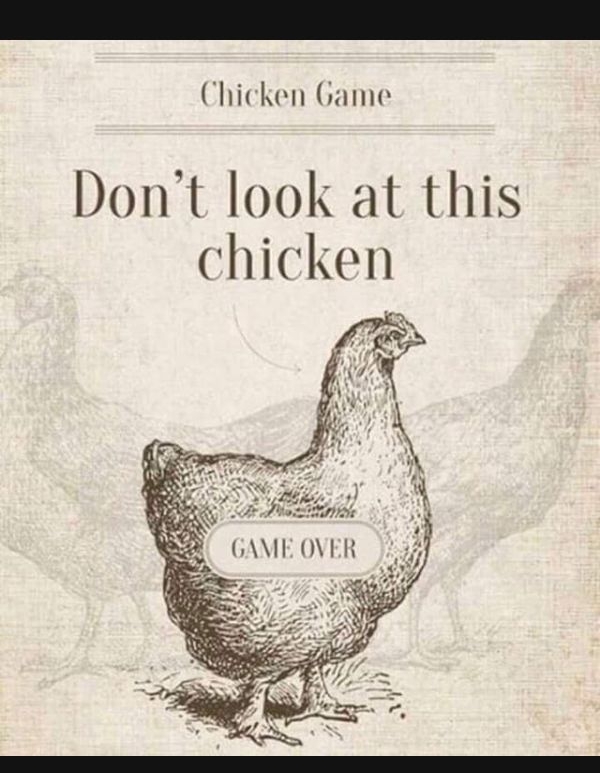 Chicken Game Dont look at this chicken N GAME OVER