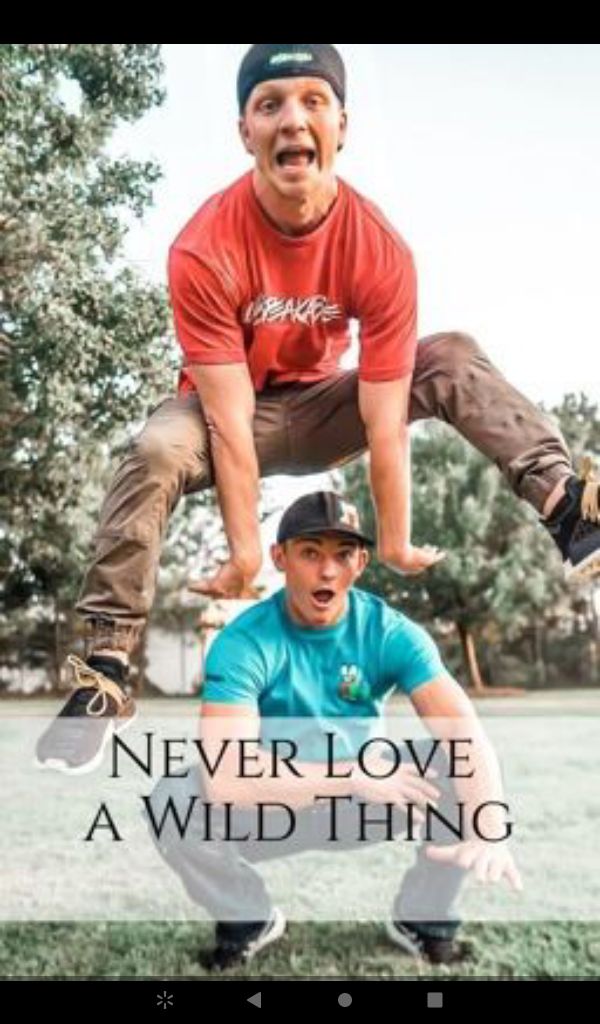 N NEVER LOVE A WILD THING