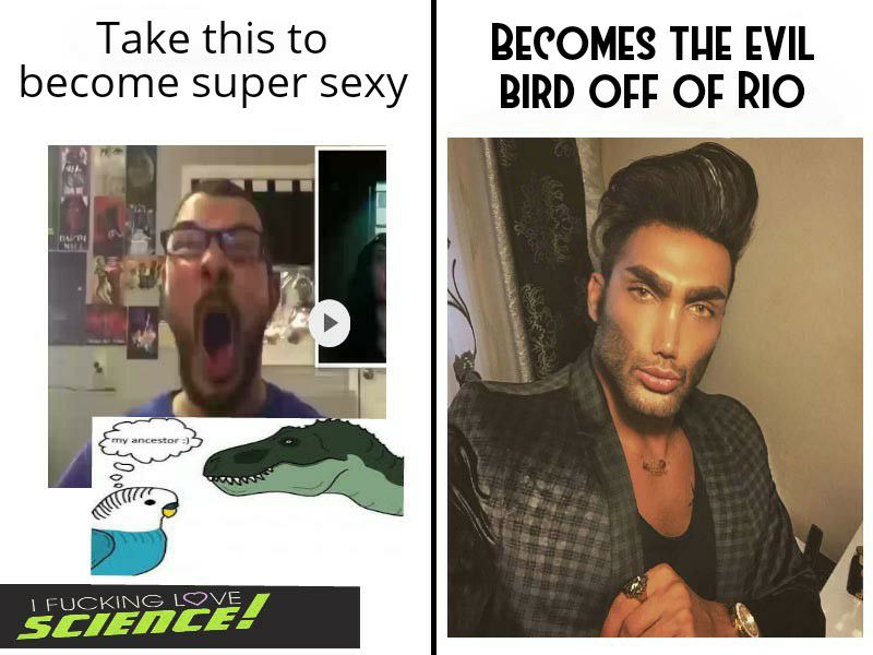 Take this to BECOMES T become super sexy BIRD OFF IIEIEIQIL FUCKING LOVE