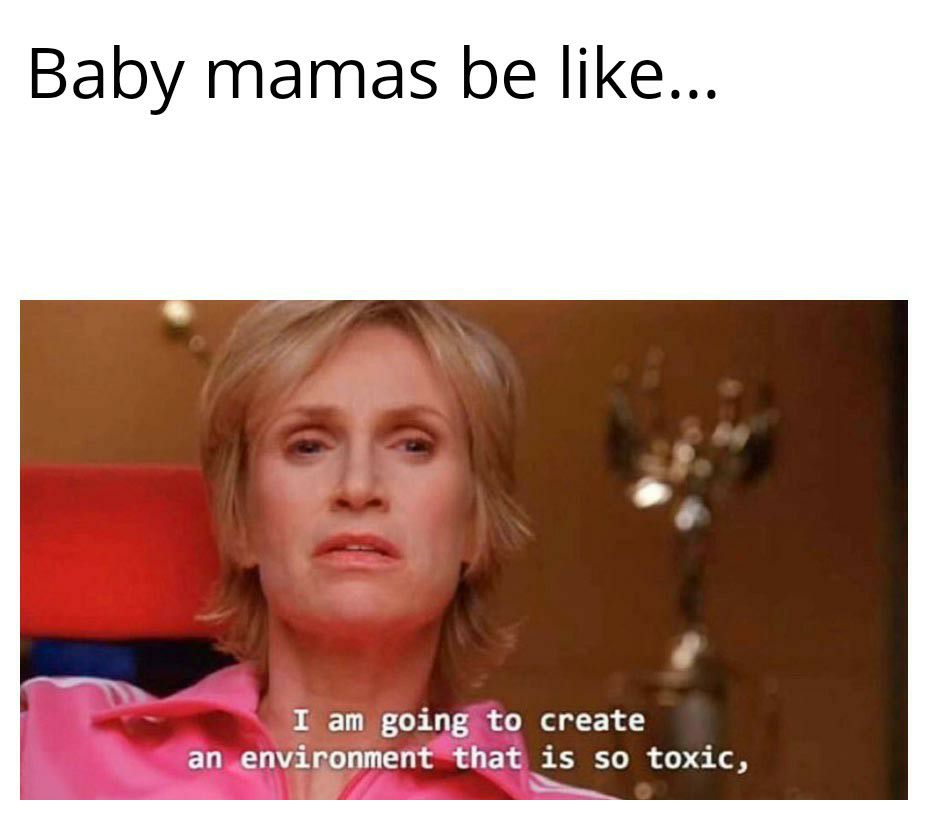 Baby mamas be like I am going to create anenviponmentthat is so toxic N