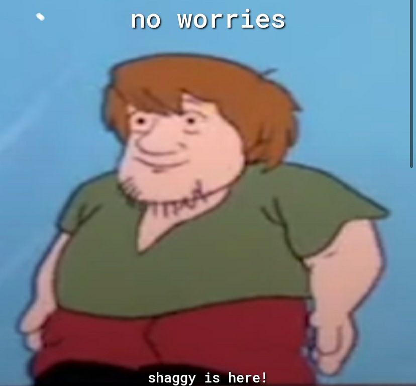 no Worries shaggy is here