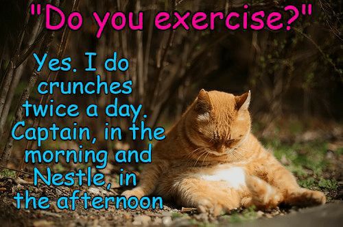 Do you exercise y Yes T doy crunches