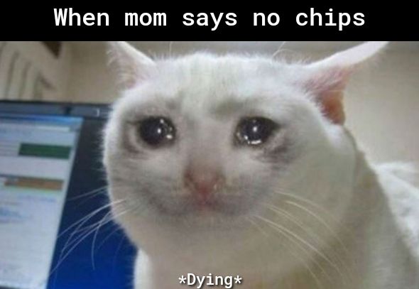 When mom says no chips N T