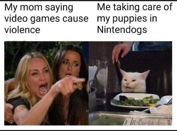 My mom saying Me taking care of video games cause my puppies in violence Nintendogs