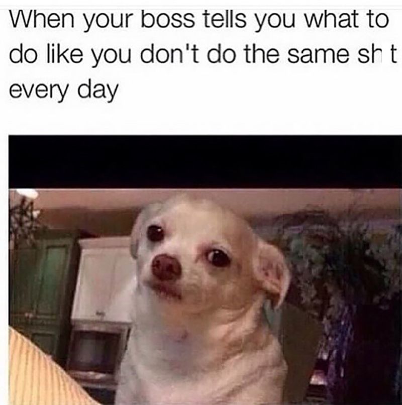 When your boss tells you what to do like you dont do the same sh t every day