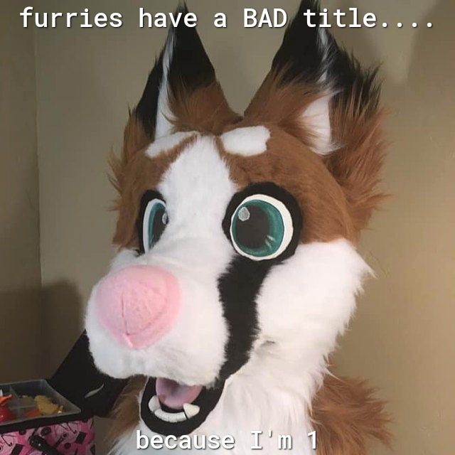 furries have a BAD ttle b