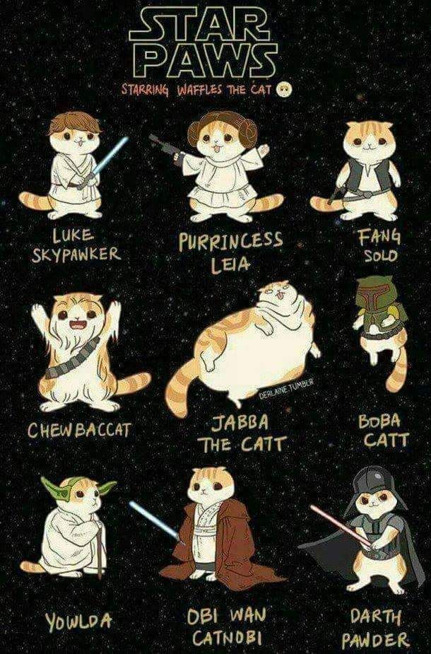 SWVA TR AW STARRING WAFFLES THE CAT Luee PURRINCESS Fg YowLoA DBl WAN DARTH CATNDBI PAMDER