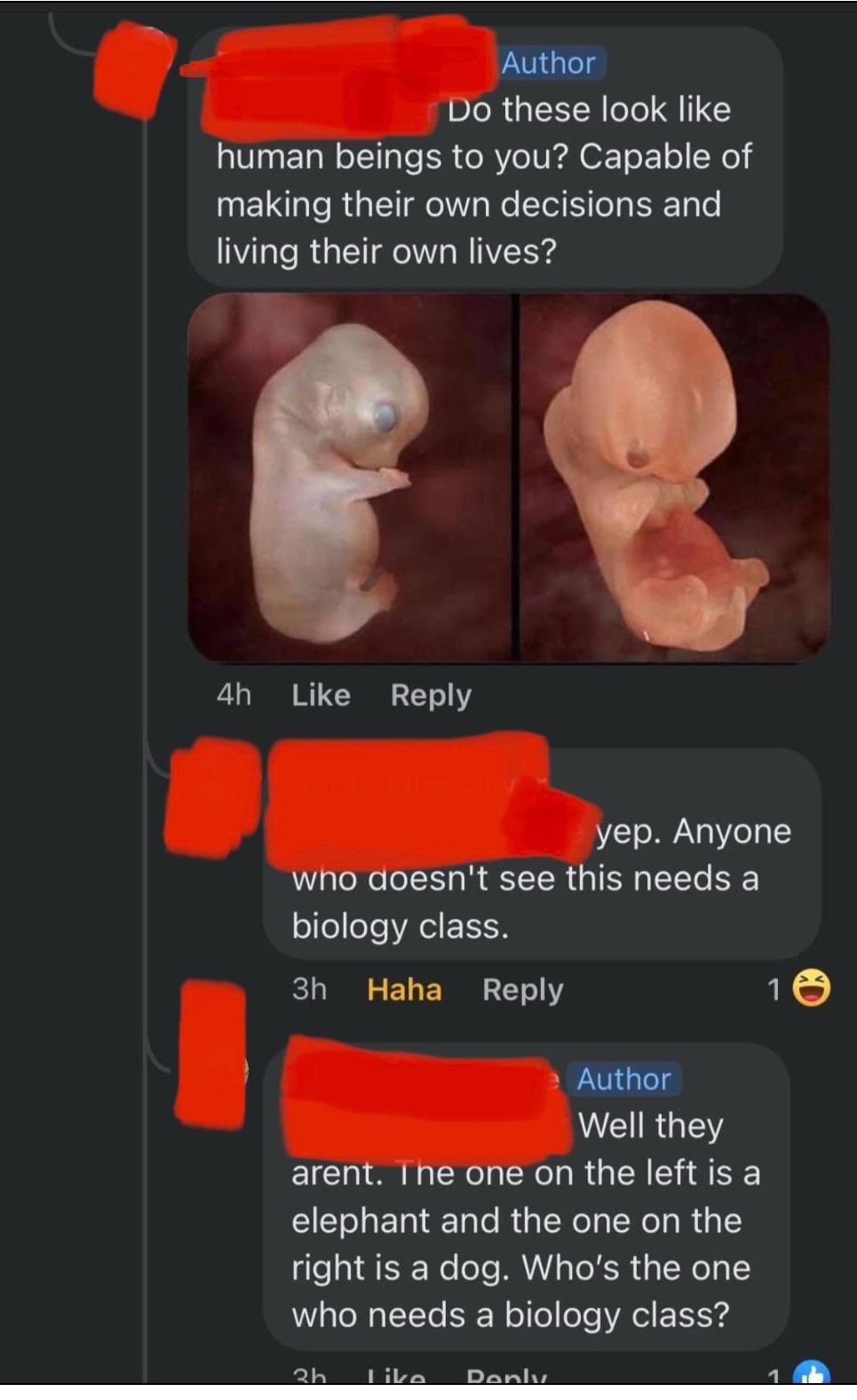 e o these look like human beings to you Capable of making their own decisions and living their own lives e 4h Like Reply ep Anyone SIRECLR I EELRE biology class 3h Haha Reply 10 Author LWEIRGTEY ElIChS LRGEACHILE CIELERERRGEYL YR G right is a dog Whos the one who needs a biology class an