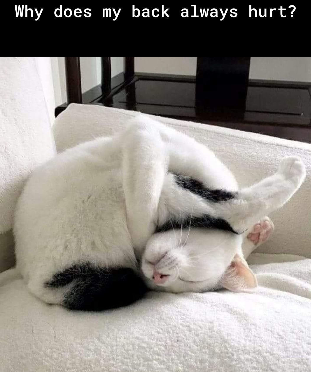 Why does my back always hurt