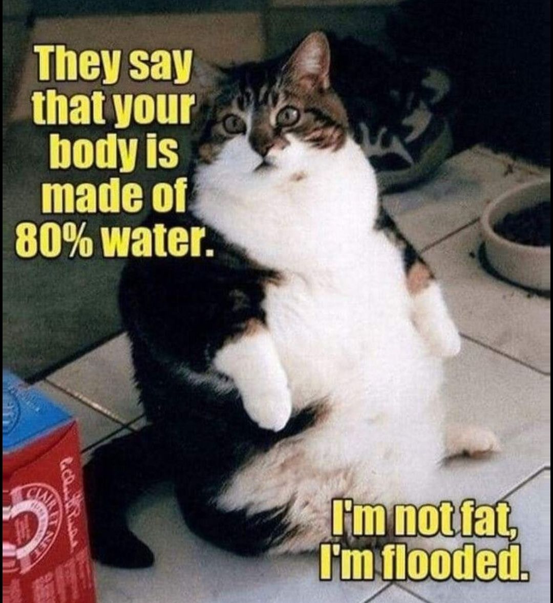 LLEEL thatyour V TTTEES made of 80 water Imfiooded