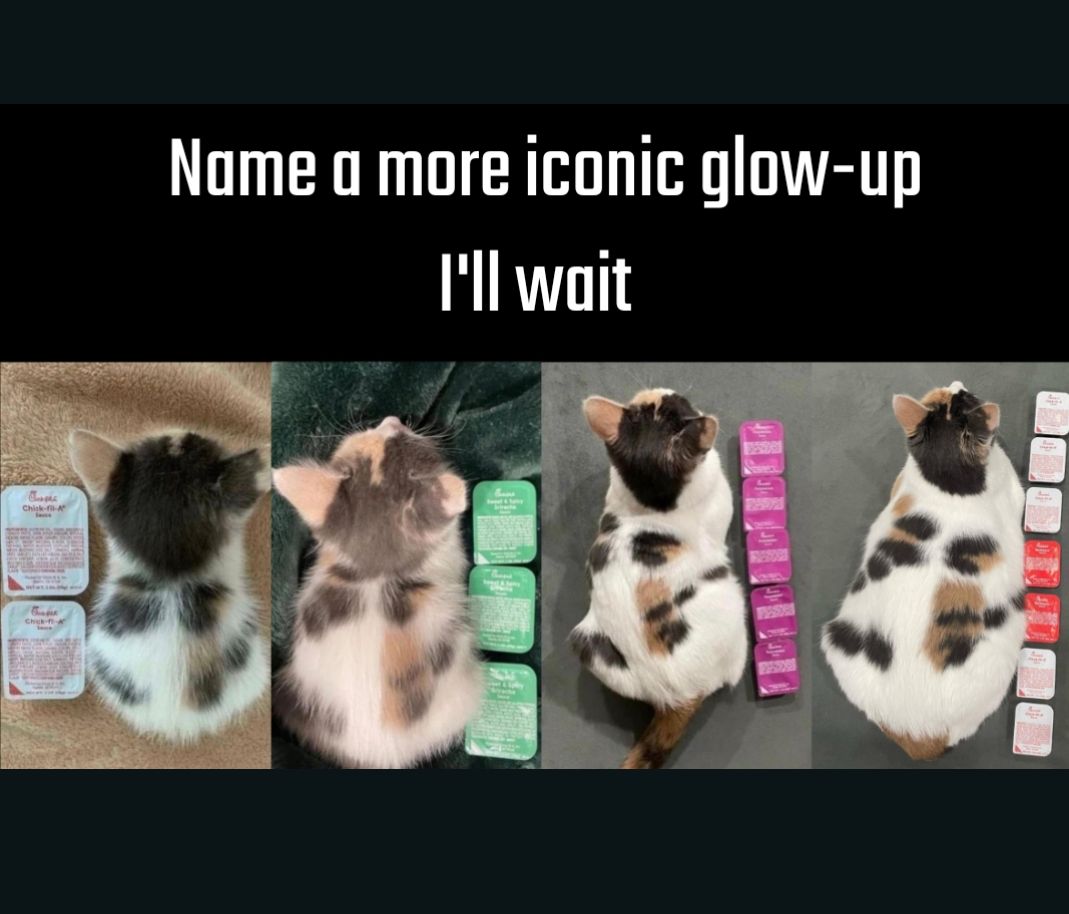 Nome o more iconic glow up