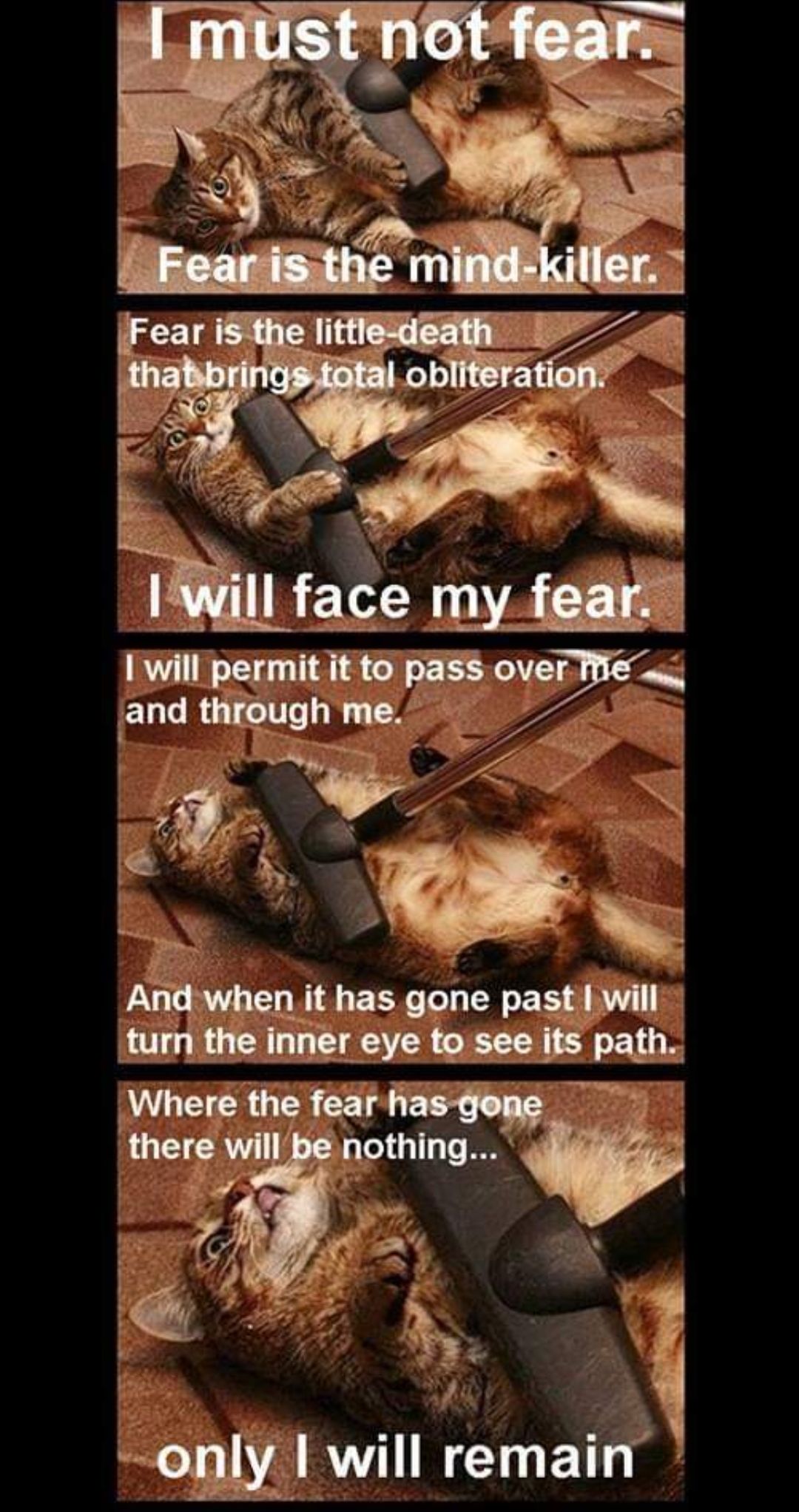 lvdllpomllbpom q jand tlguqhn 1 St l u AJ L iwwm it has gone pastiWill mnmha_gbm X ml will remai