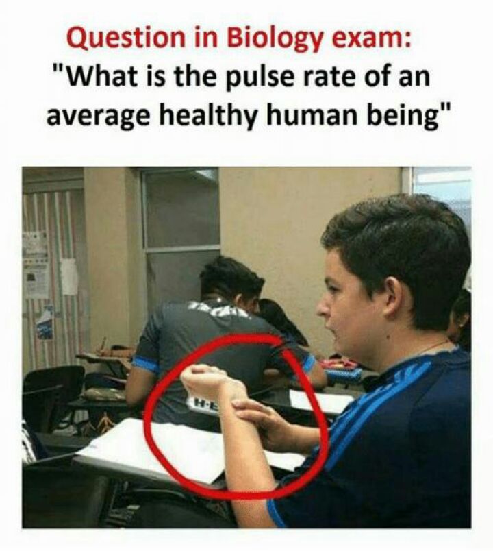 Question in Biology exam What is the pulse rate of an average healthy human being